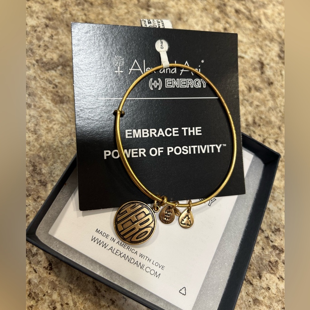 Alex and Ani Hero Bracelet NWT; Vintage design